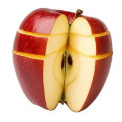 Illustration sectioning - Image 1