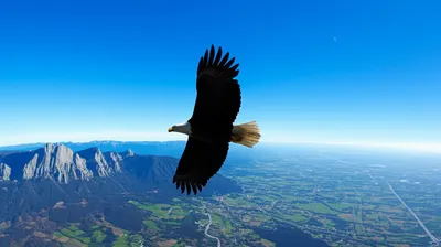 Illustration altitude - Image 1