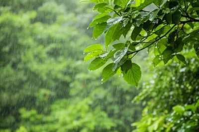 Illustration drizzle - Image 1