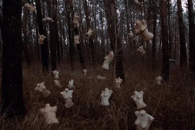 Illustration dummies - Image 2