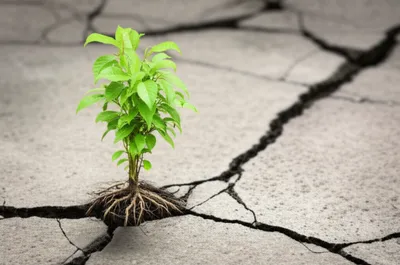 Illustration stamina - Image 1