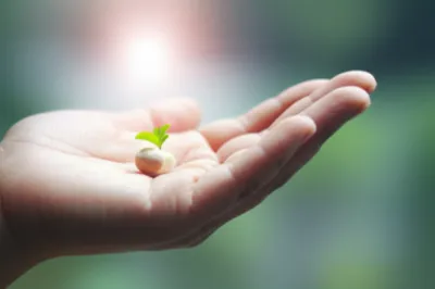 Illustration own - Image 1