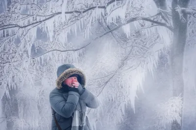 Illustration biting - Image 1