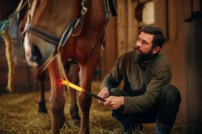 Illustration firing - Image 1