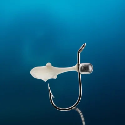 Illustration squid - Image 1