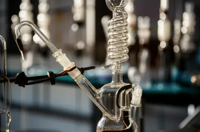 Illustration serpentine - Image 1