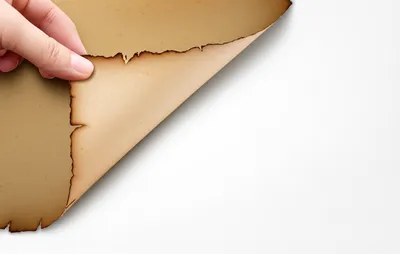 Illustration cancels - Image 1