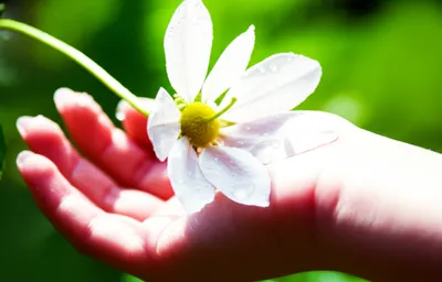 Illustration fragrance - Image 1