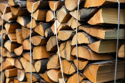 Illustration corded - Image 1