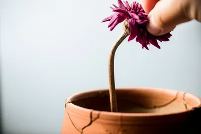 Illustration abates - Image 1