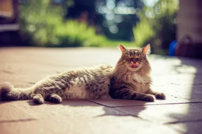 Illustration hotter - Image 1