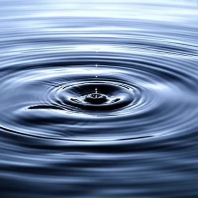 Illustration disturbs - Image 1