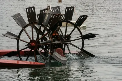 Illustration reef - Image 1