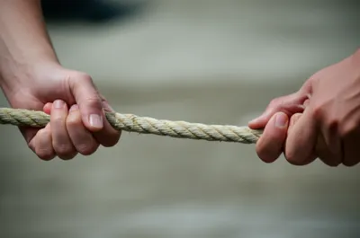 Illustration folds - Image 1