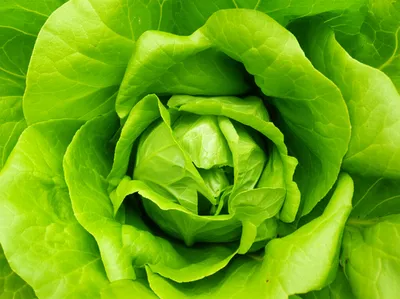 Illustration hearting - Image 1