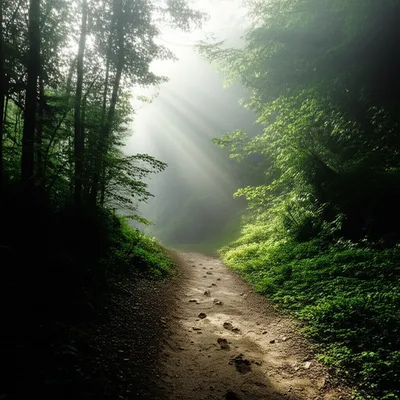 Illustration runs - Image 1