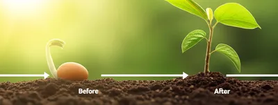 Illustration predate - Image 1