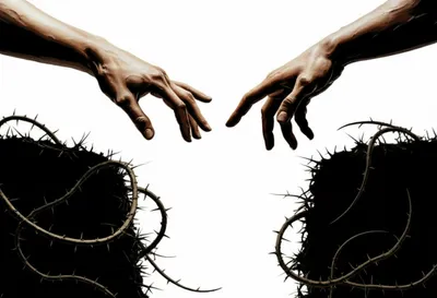 Illustration close - Image 1