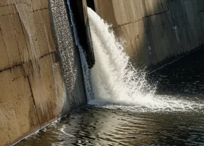 Illustration leak - Image 1