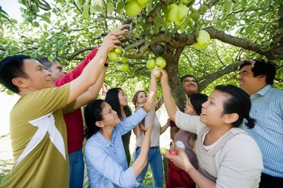 Illustration favors - Image 1