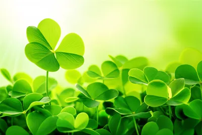 Illustration fortunately