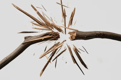 Illustration splints - Image 1