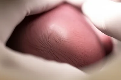 Illustration presents - Image 1