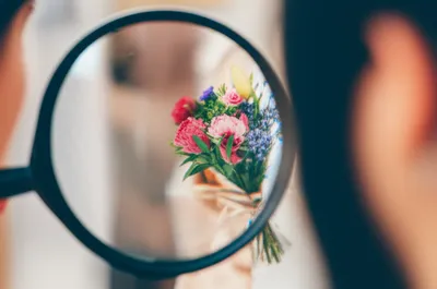 Illustration innuendo - Image 1