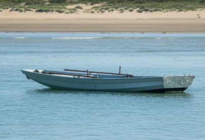 Illustration sharpie - Image 1