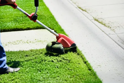 Illustration edged - Image 1