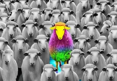 Illustration peculiarity - Image 1