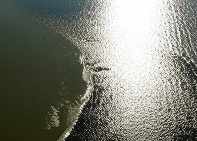 Illustration combined - Image 1