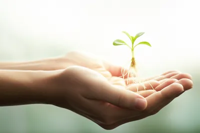 Illustration kindly - Image 1