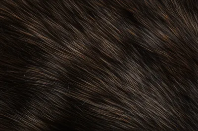 Illustration sable - Image 1