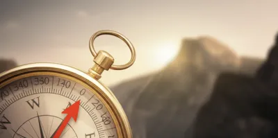 Illustration sate - Image 1