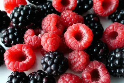 Illustration raspberry - Image 1