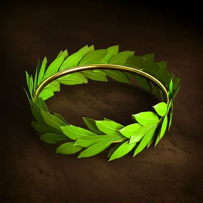 Illustration laurels - Image 1