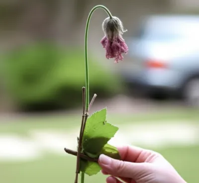 Illustration retrieved - Image 1