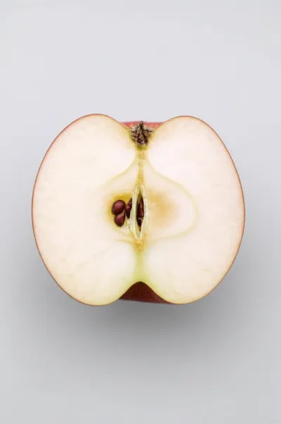 Illustration cloven - Image 1