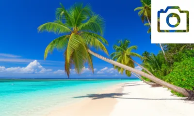 Illustration watermarks - Image 1