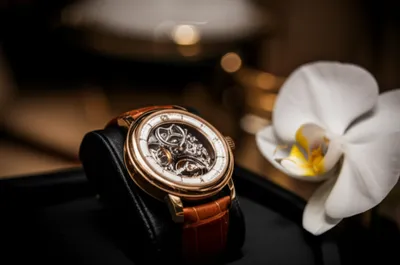 Illustration deluxe - Image 1