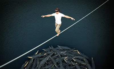 Hình ảnh minh họa court - Ảnh 1