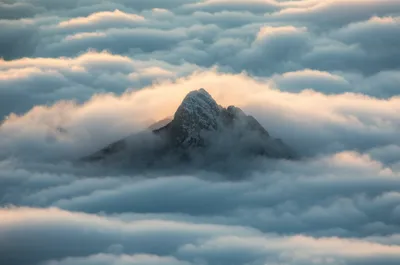 Illustration highest - Image 1