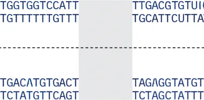 Illustration gap - Image 1