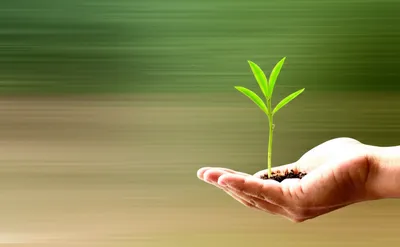 Illustration retainer