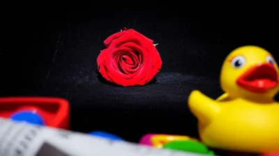 Illustration extraneous - Image 1