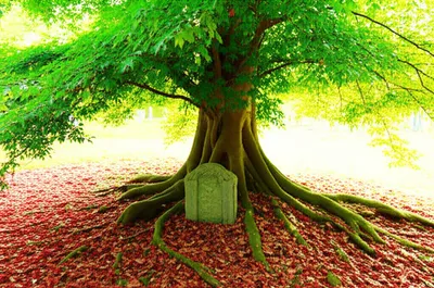 Illustration outlive - Image 1