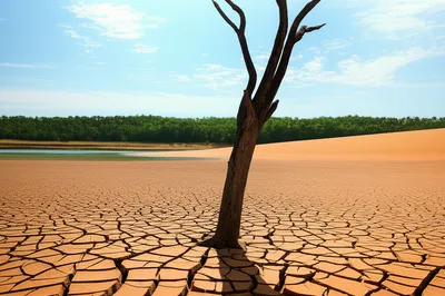 Illustration bleed - Image 1