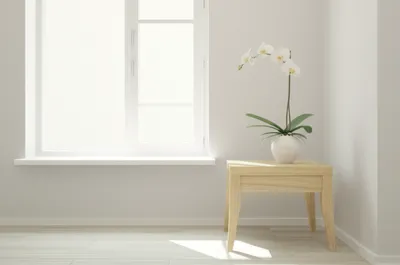 Illustration neat - Image 1