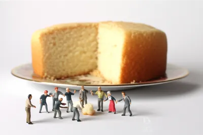 Illustration pettinesses - Image 1